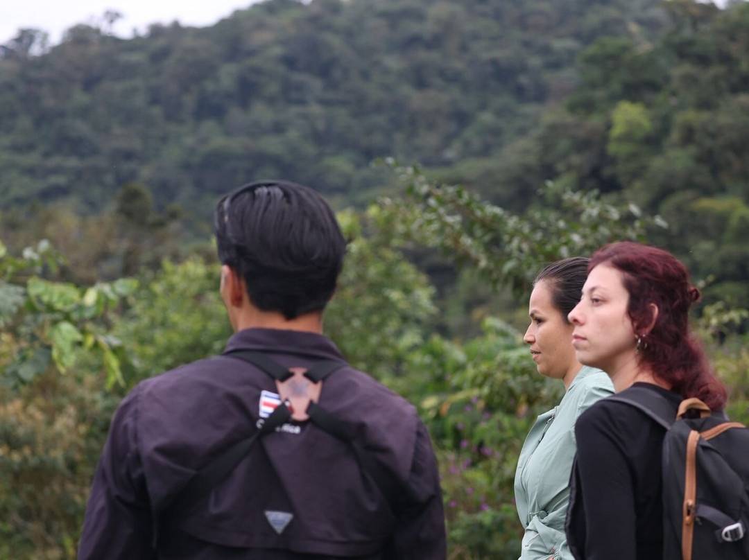 Bijagua Rainforest - Tours-Bijagua de Upala必去景点