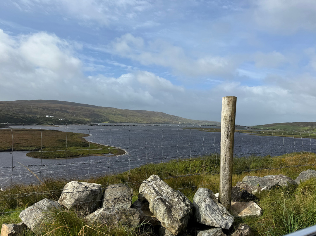All Ireland Chauffeur Tours-沃特福德必去景点