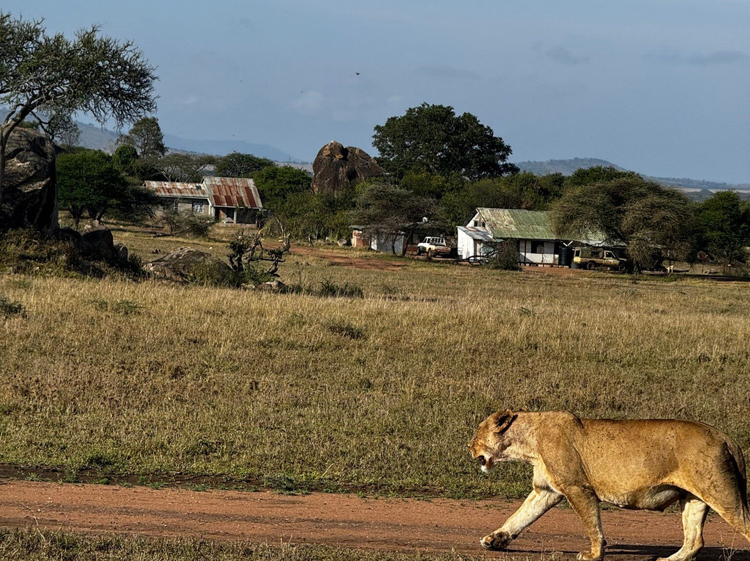 Ngatunga Tours-乞力马扎罗山国家公园必去景点