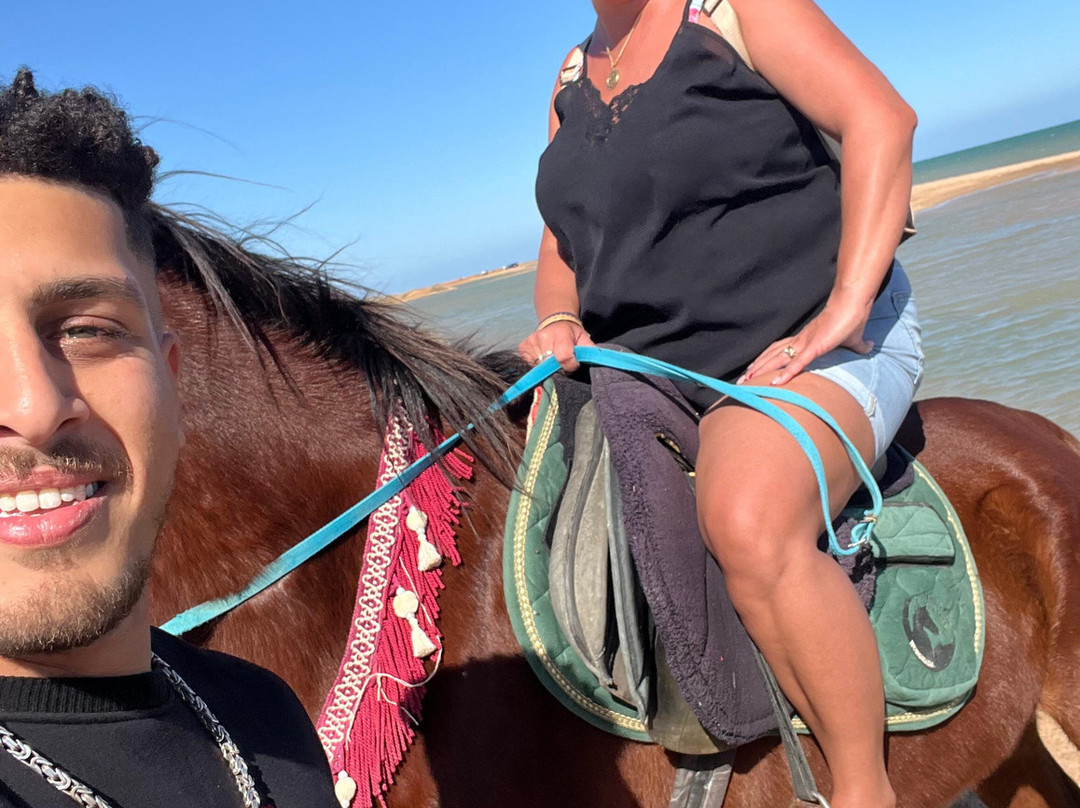 Bang On Tours-赫尔格达必去景点