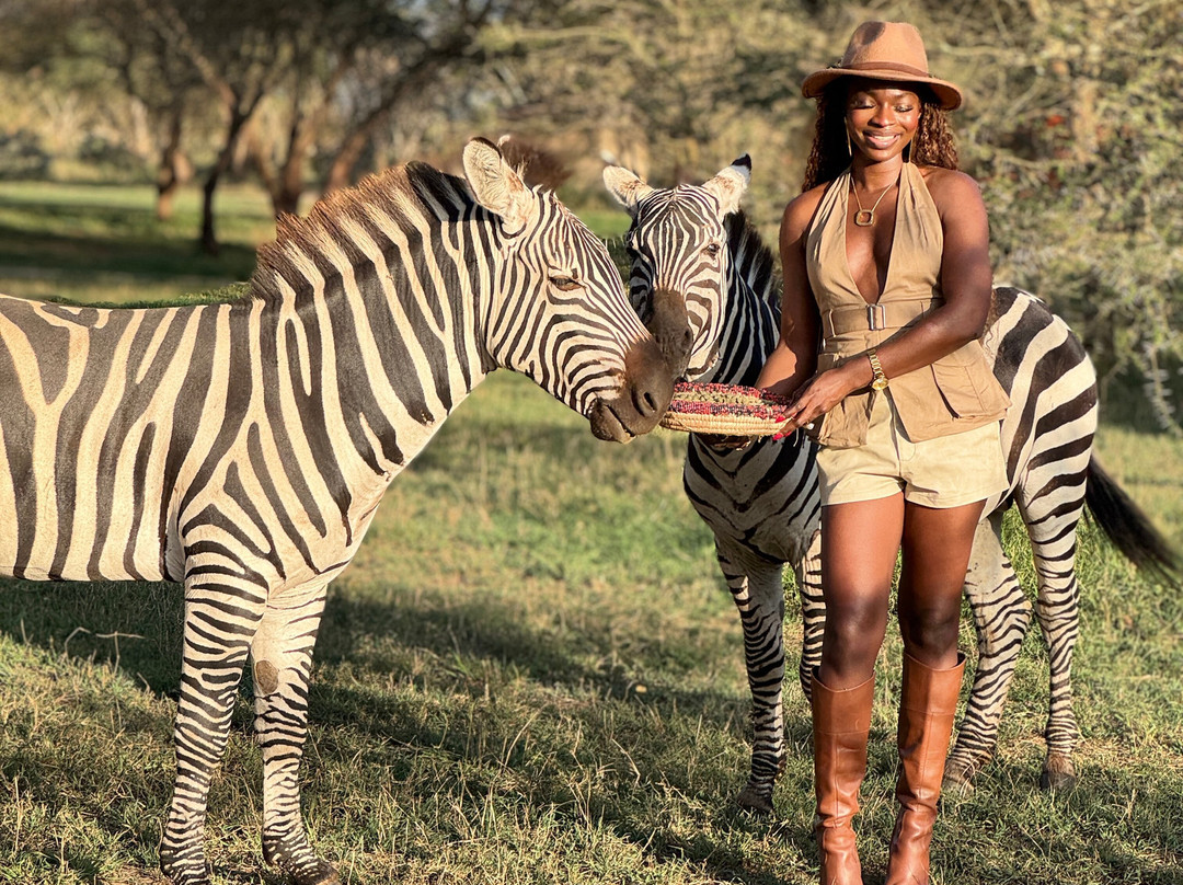 Kolekole Zanzibar Tour And Safaris-Unguja City必去景点