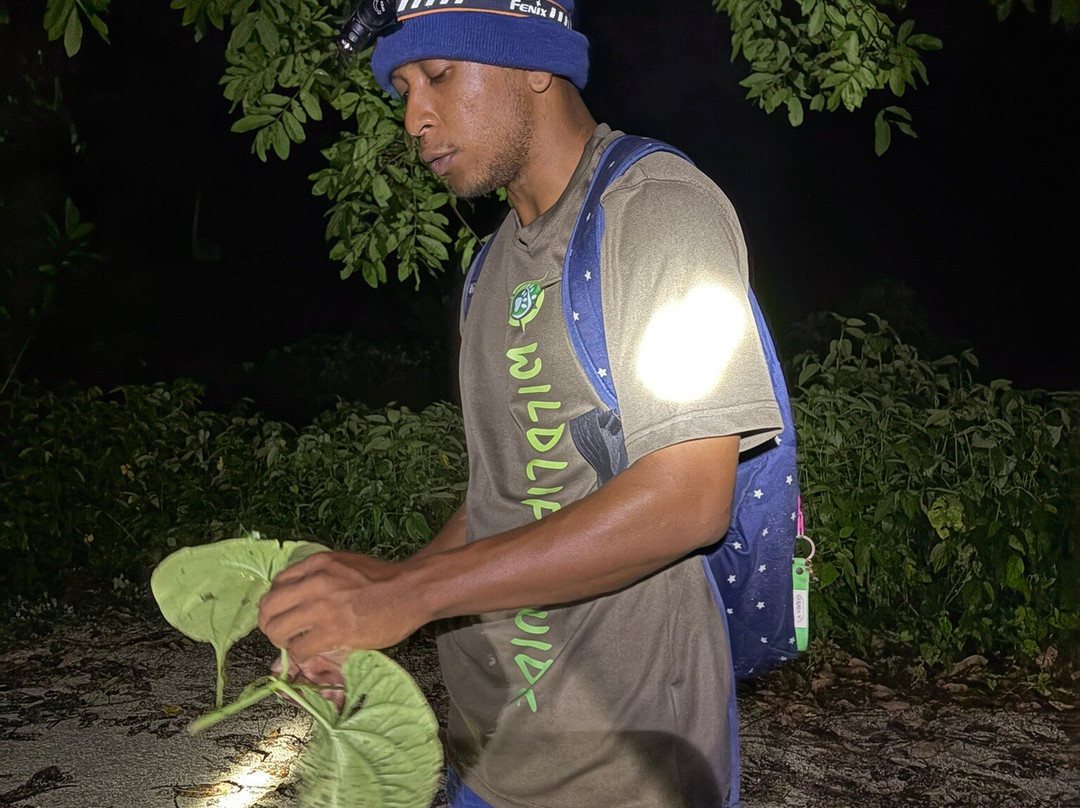 Unlock Nature-帕拉马里博必去景点