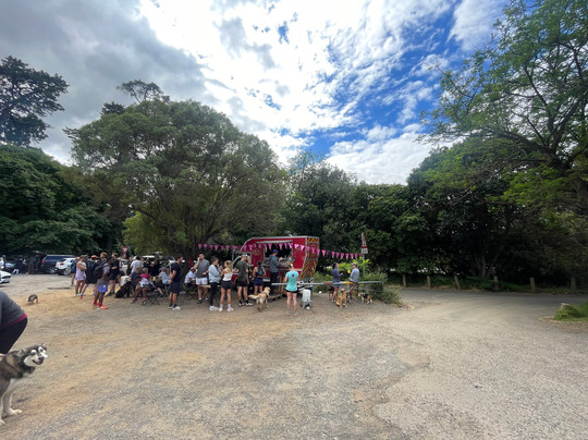 Newlands Forest-Newlands必去景点