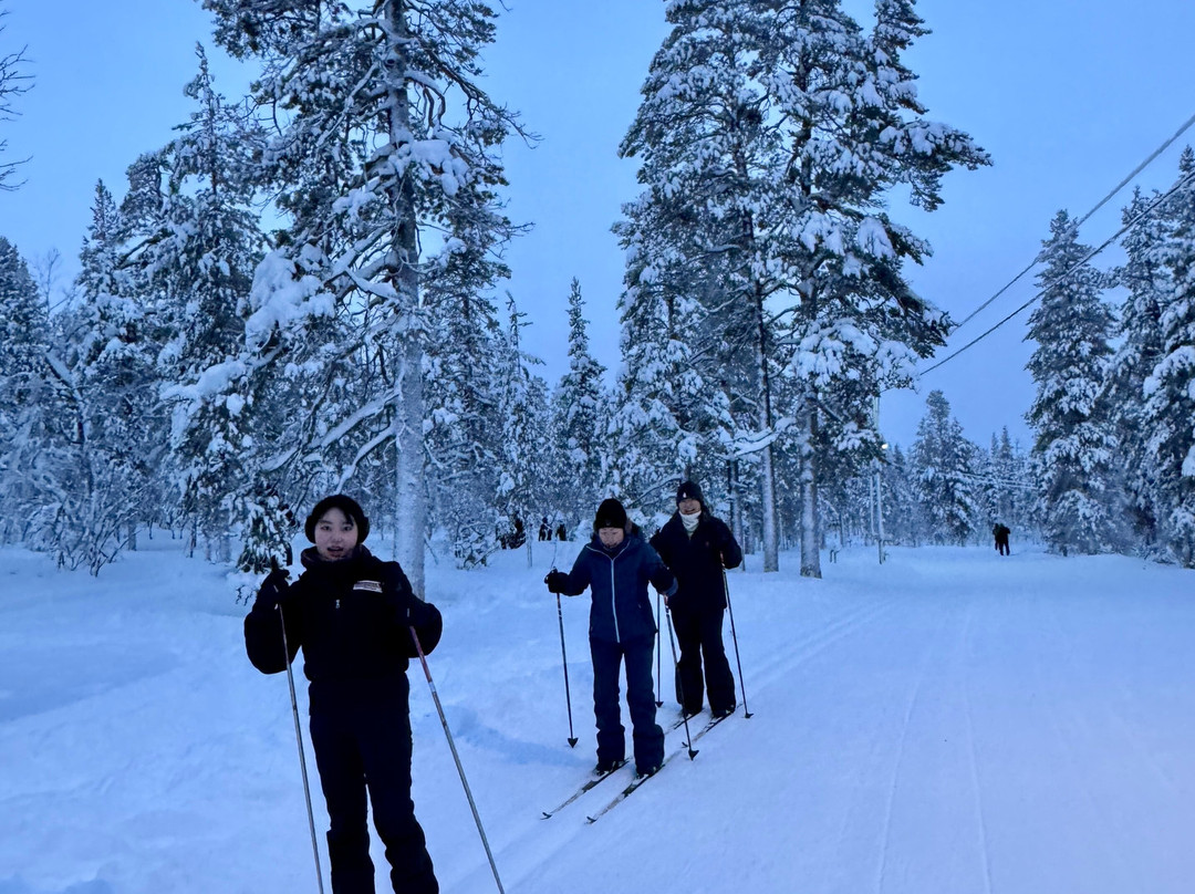 Arctic Timetravels-撒利塞卡必去景点