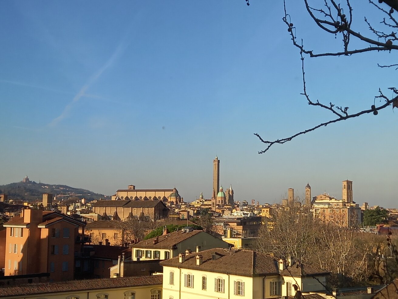 亚米利亚酒店-官方