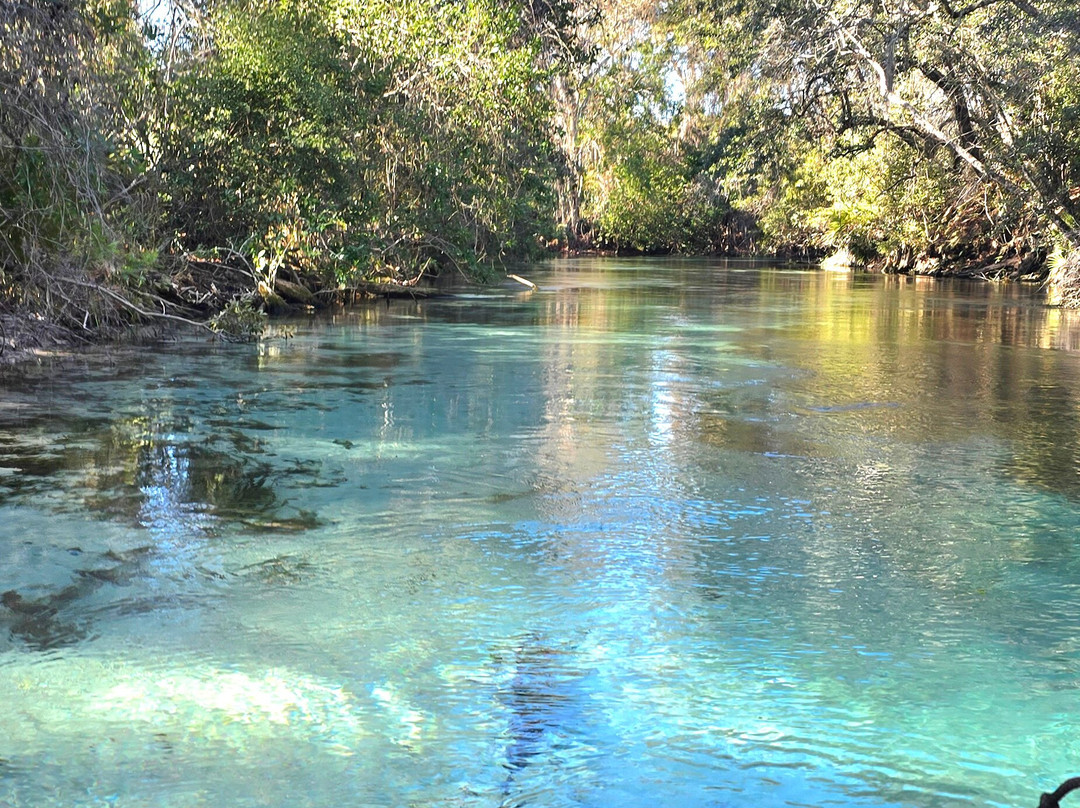 Weeki Wachee Springs-Weeki Wachee必去景点