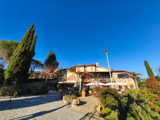 罗萨蒂酒店主图