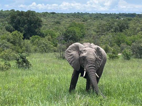 Bush Xplorers-雾观必去景点