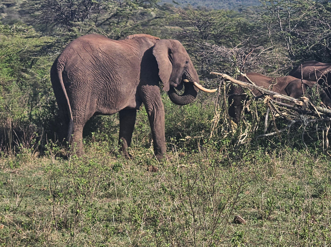 Kameraz of Afrika-内罗毕必去景点