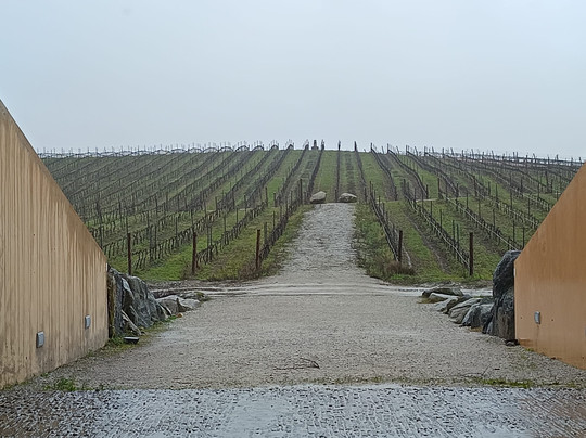 Herdade do Freixo-Redondo必去景点