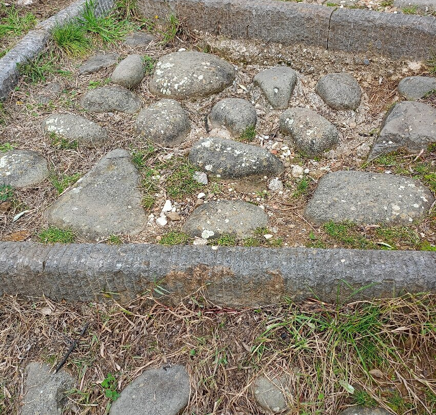 Area Archeologica Massaciuccoli Romana-Massaciuccoli必去景点