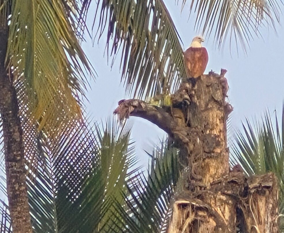 John's Boat Tours - Day Tours-坎多林必去景点