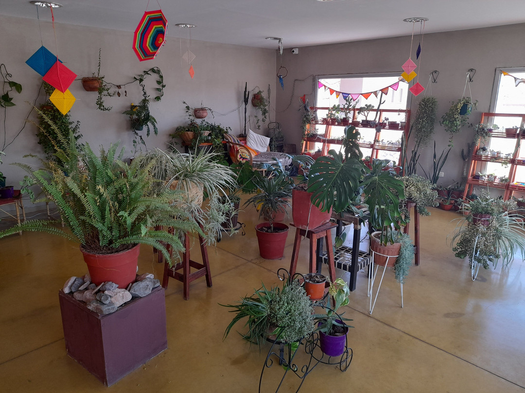 Balcòn del Pissis-Tinogasta必去景点