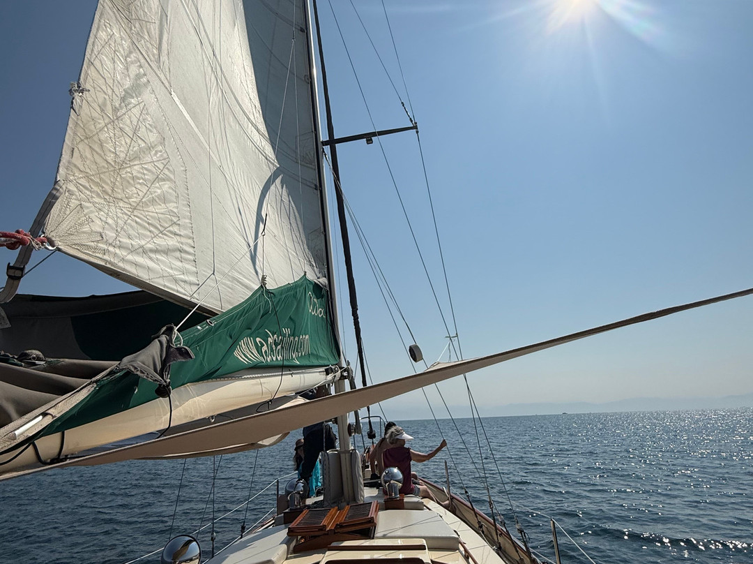 Adasailing Puerto Vallarta-瓦拉塔港必去景点