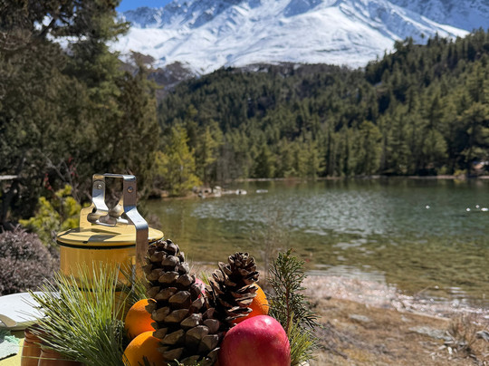 Shinta Mani Mustang主图