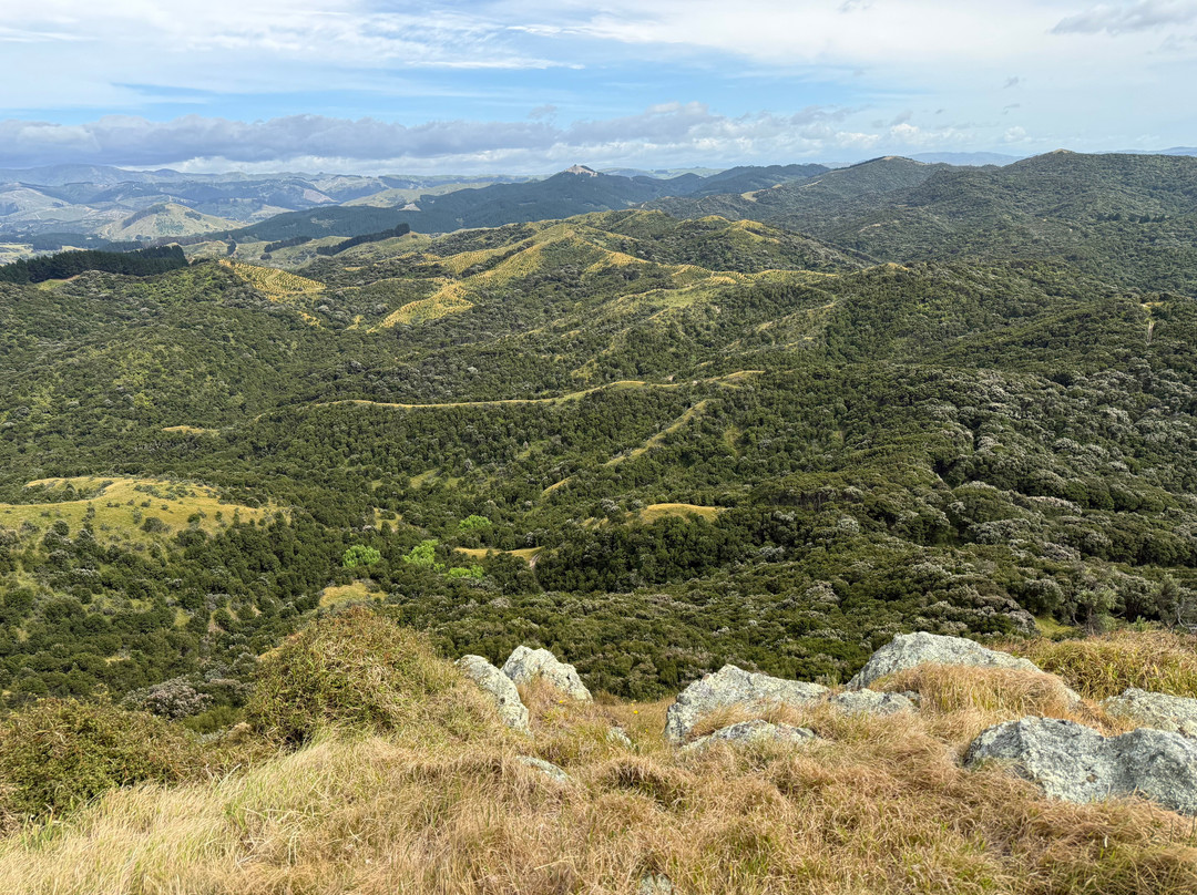 Tora Coastal Walk-马丁堡必去景点