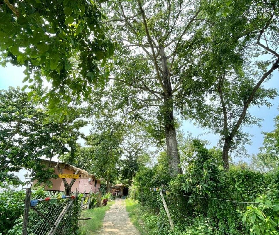 Bamby Chilling House - Feel the Nature - Chitwan , Sauraha