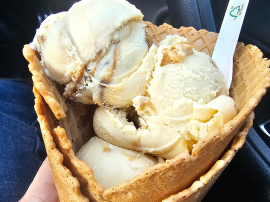 Daisy Made Farm-林肯必去景点