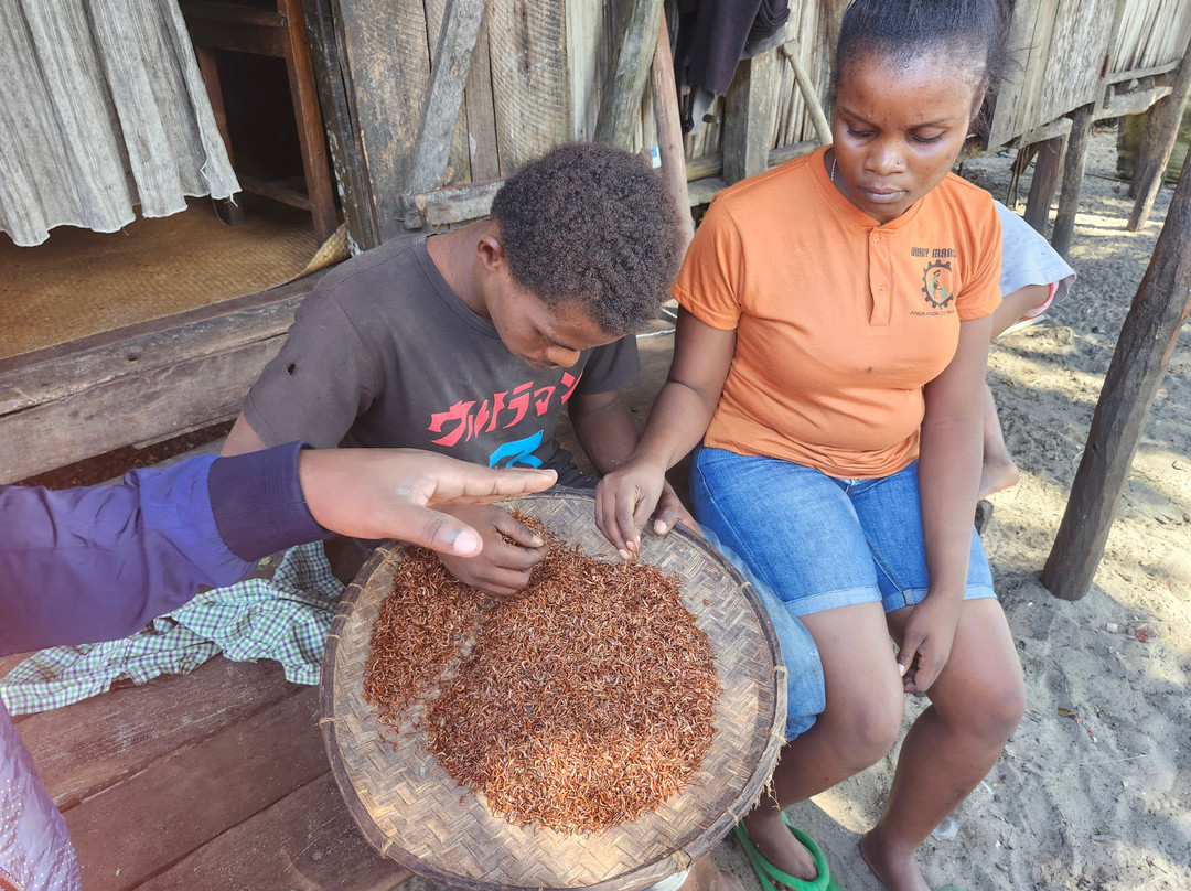 GASY' DIA-安塔那那利佛必去景点