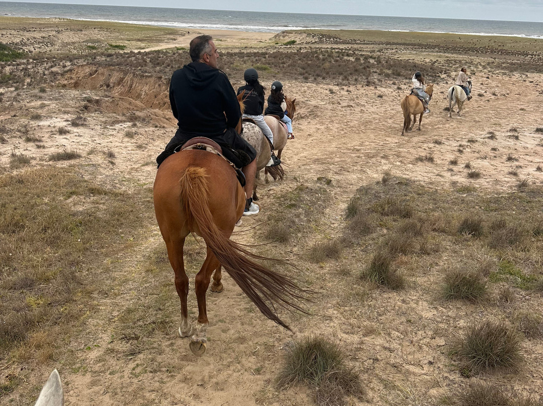 Eco Equus Cabalgatas-La Pedrera必去景点