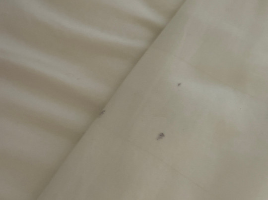 Ubud Tropical Garden 2主图