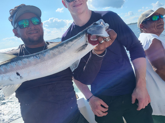 Fish Riviera Maya-阿范特拉斯港必去景点