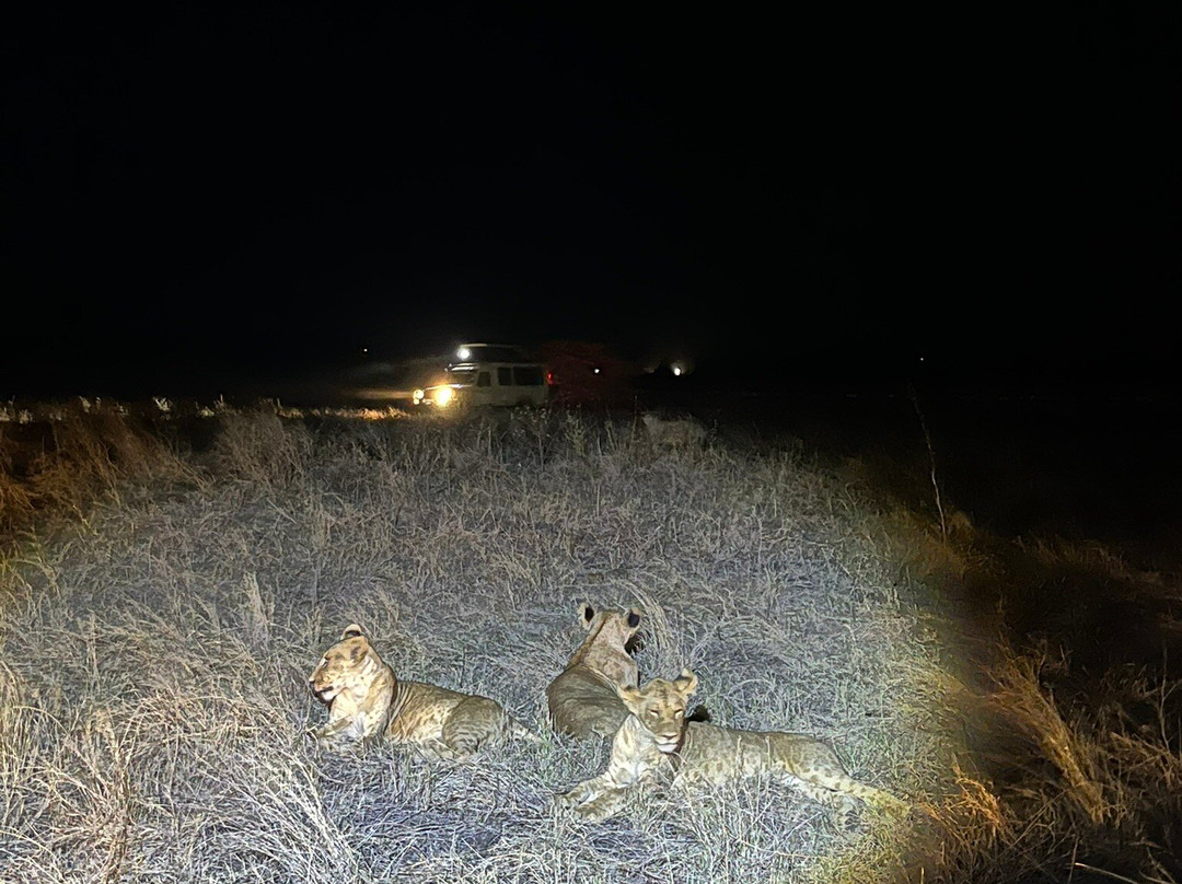 Pollman's Tours & Safaris-蒙巴萨必去景点