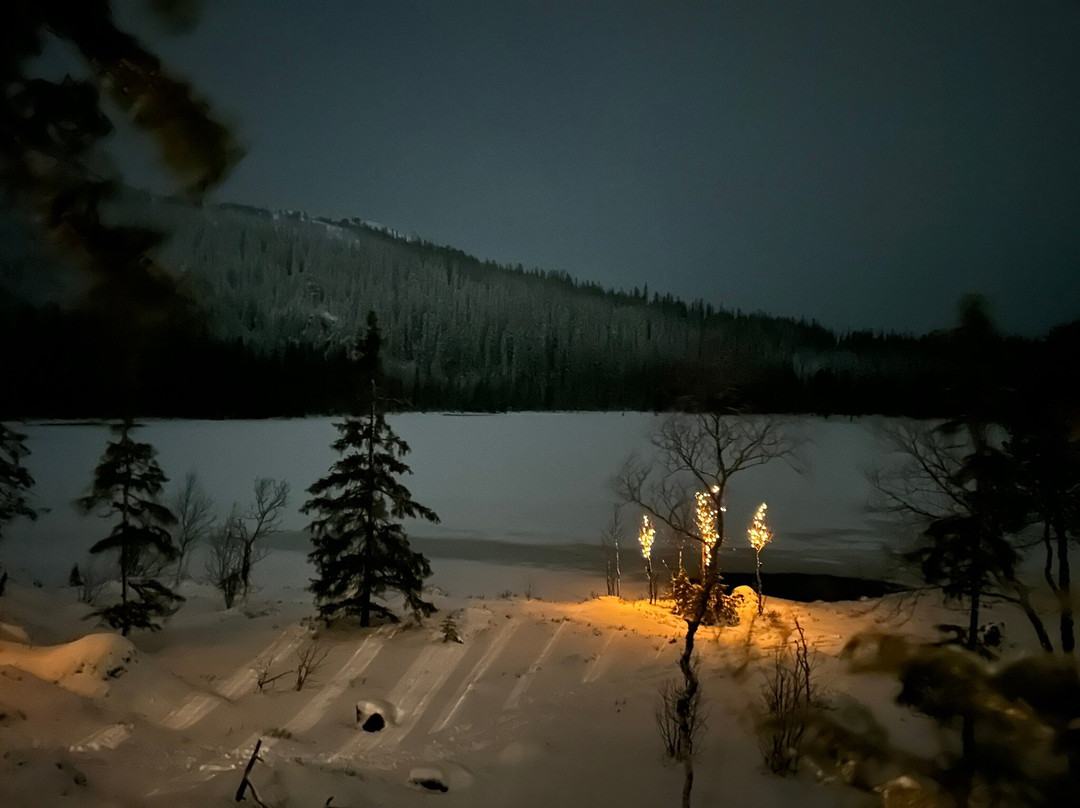 Rypetoppen Adventurepark-Meraker Municipality必去景点