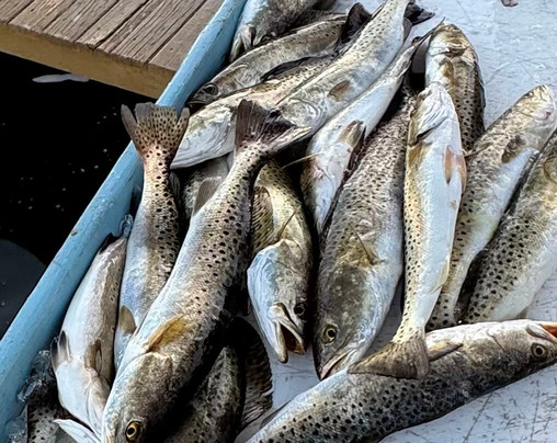 Anna Maria Charters-Holmes Beach必去景点