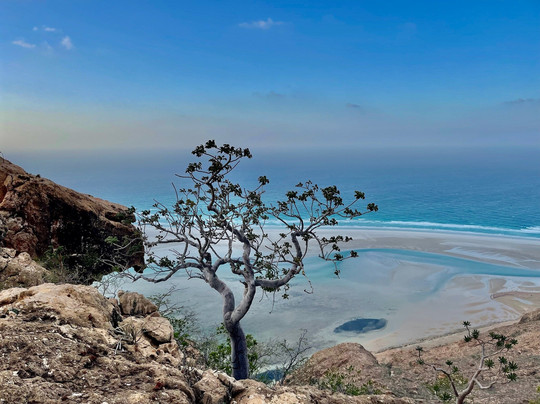 WelcomeToSocotra-索科特拉岛必去景点