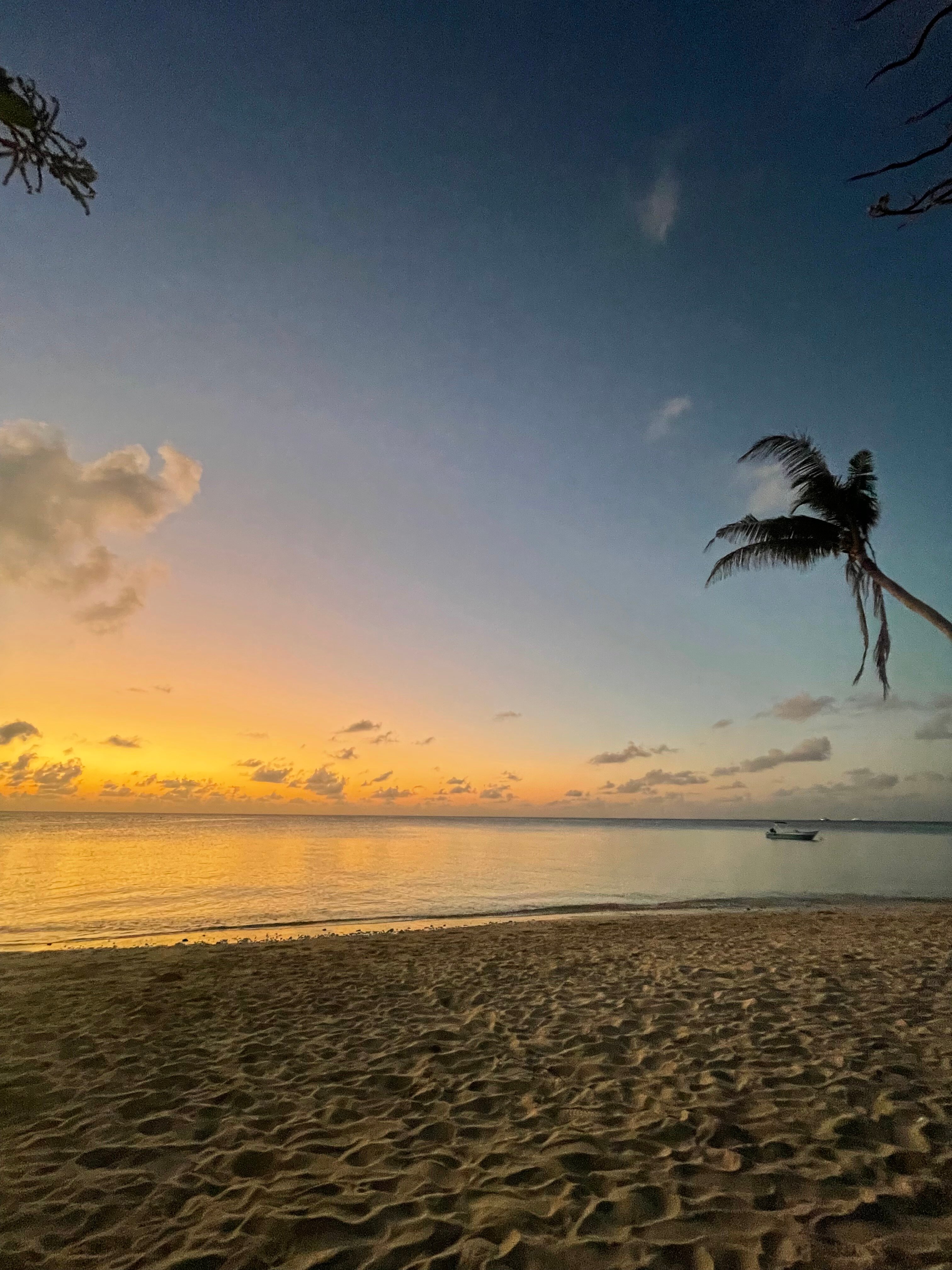 Into the Blue Lodge-官方