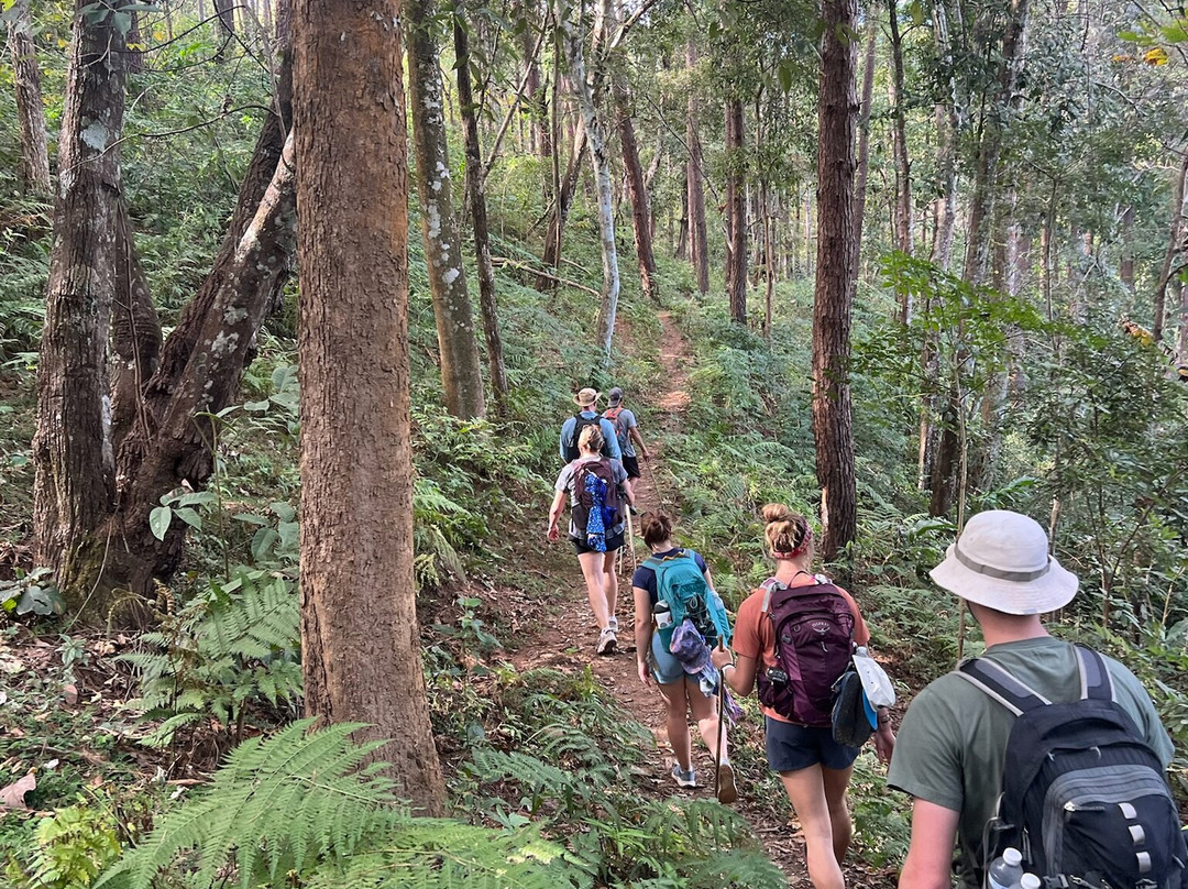 Mike's Authentic Trekking-清迈必去景点