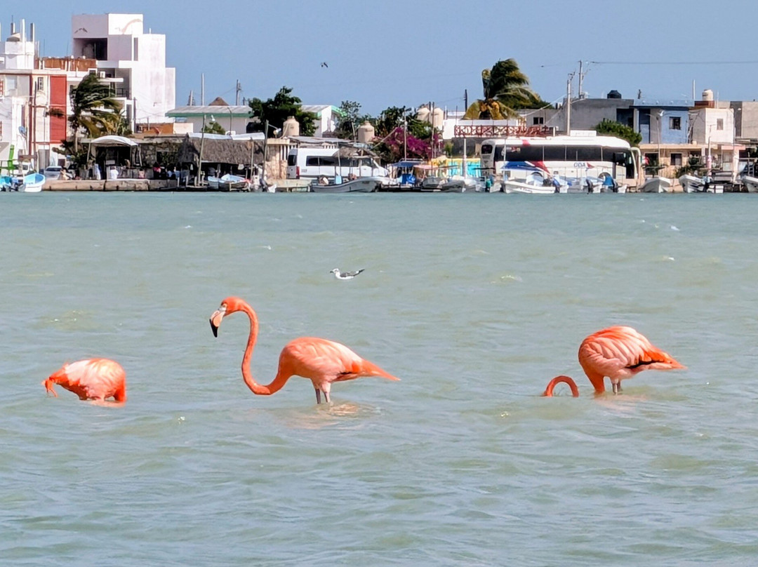 Taxi Personalizado-巴利亚多利德必去景点