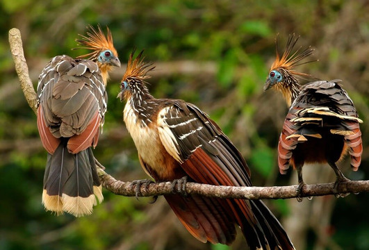 Lago Sandoval-马尔多纳多港必去景点