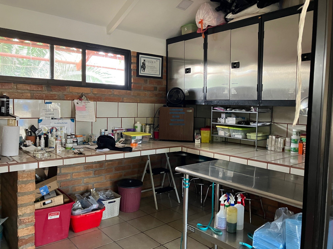 Jaltemba Equine Education Project (J.E.E.P.)-La Peñita de Jaltemba必去景点