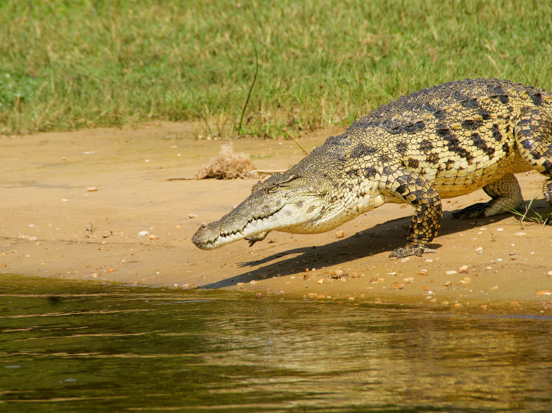 Uganda Family Tours & Travel-Fort Portal必去景点