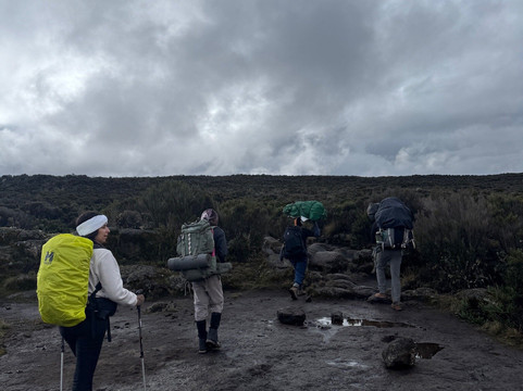 Gomberi Travel-莫西必去景点
