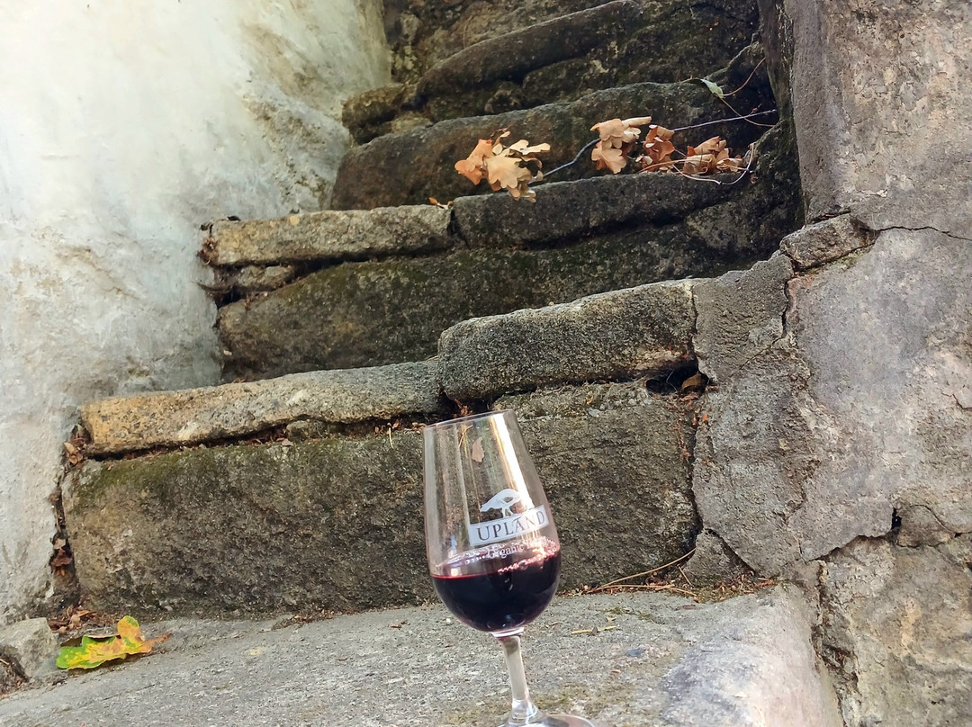 Upland Organic Wine-惠灵顿必去景点