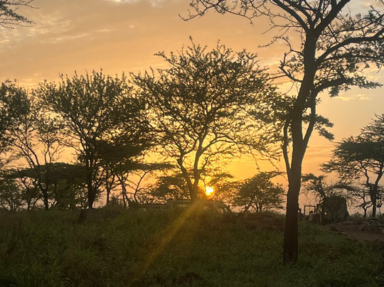 Savannah Explorers Limited-阿鲁沙必去景点