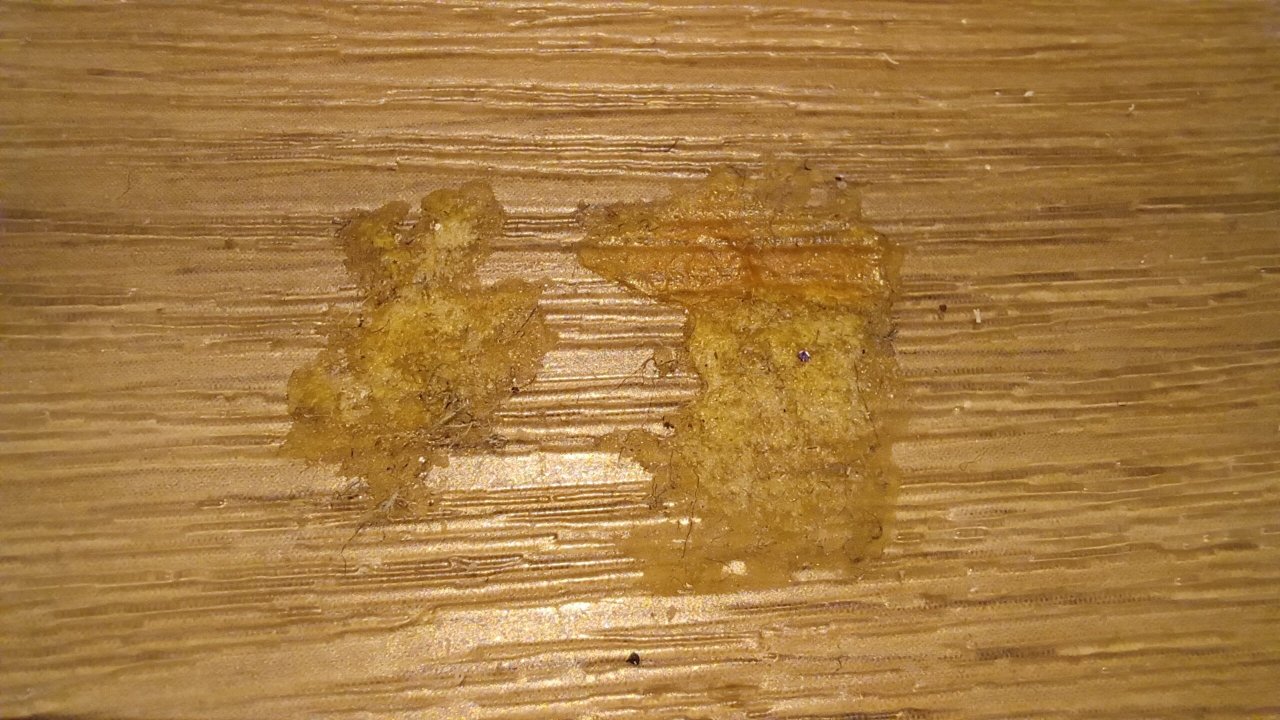 Fletcher Hotel-Restaurant Het Witte Huis-客卧