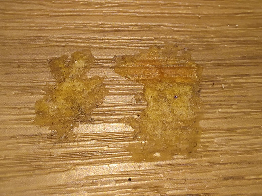 Fletcher Hotel-Restaurant Het Witte Huis主图