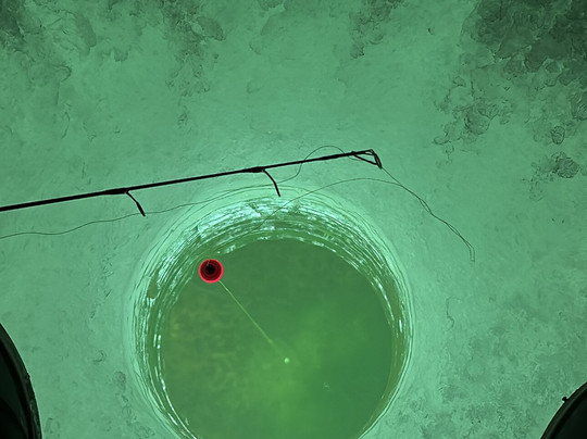 Elevated Fishing Adventures-太阳峰必去景点