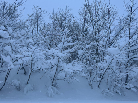 Myoko Snowsports Akakura-妙高市必去景点