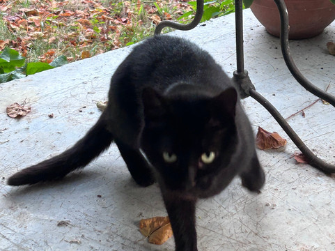 Centre Equestre Du Passe-Temps主图