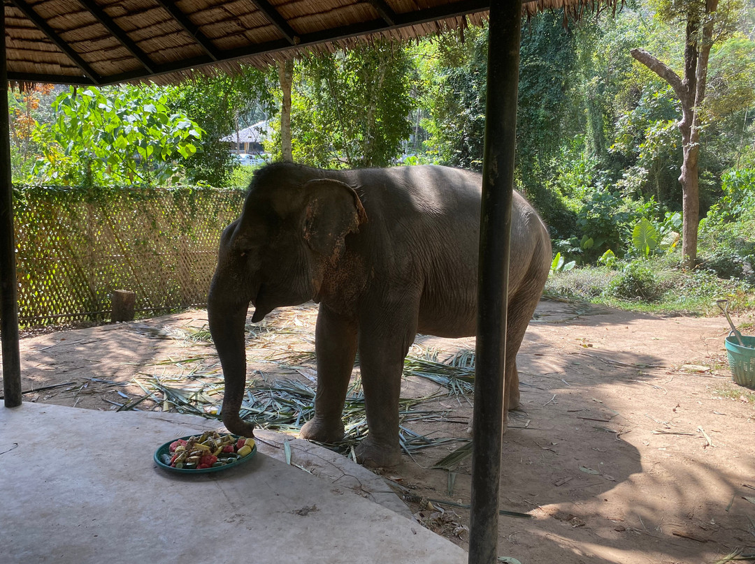 Phuket Elephant Nature Reserve-他朗必去景点