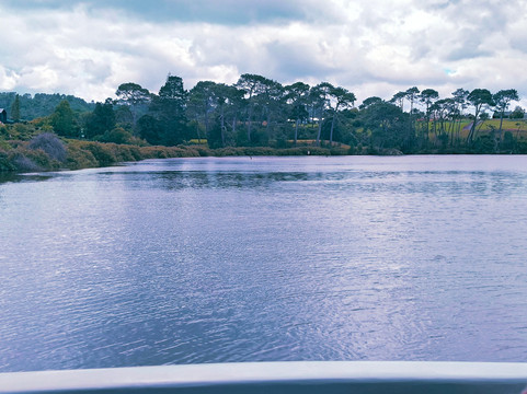 Riverhead Ferry-奥克兰必去景点