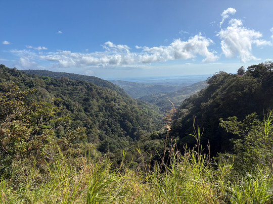 Camino Verde Bed & Breakfast主图