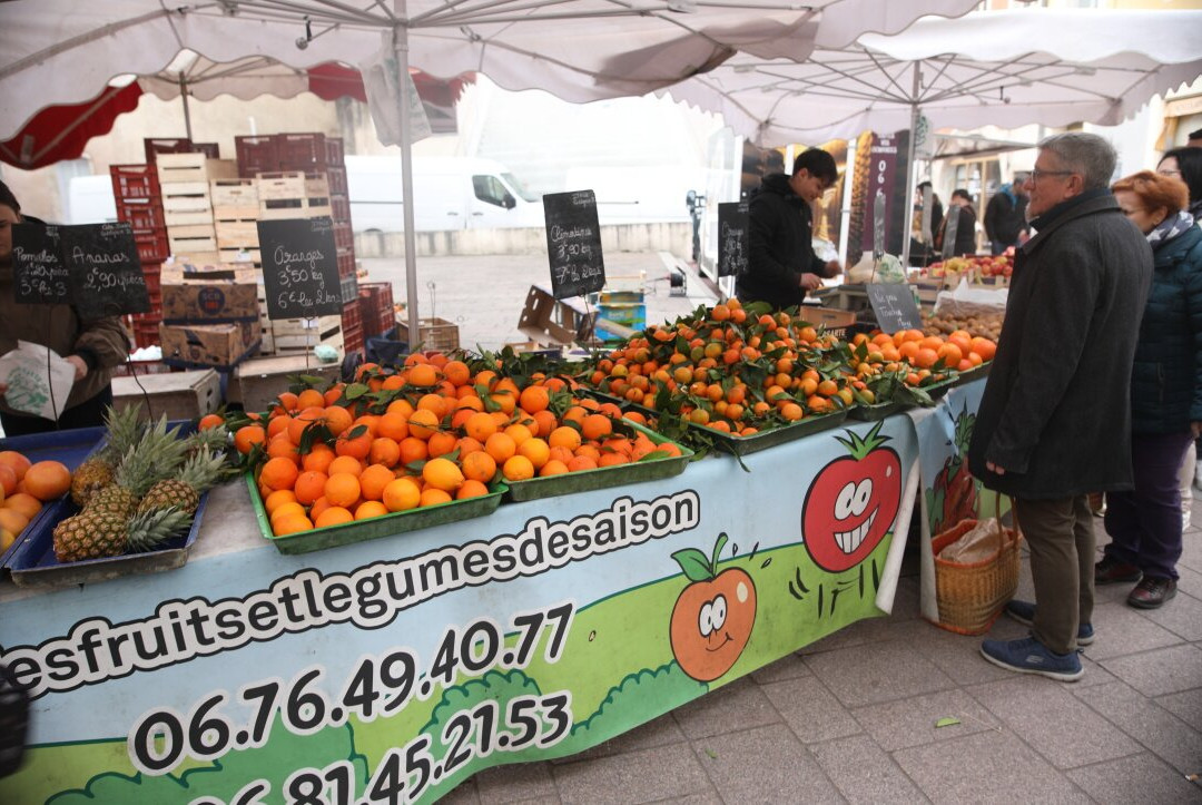 Le marché du dimanche matin-索恩河畔沙隆必去景点