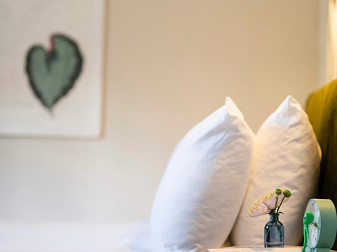 The ButtonBall Inn主图