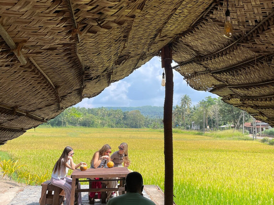 Rent A Tour Guide In Sri Lanka-卡图纳耶克必去景点